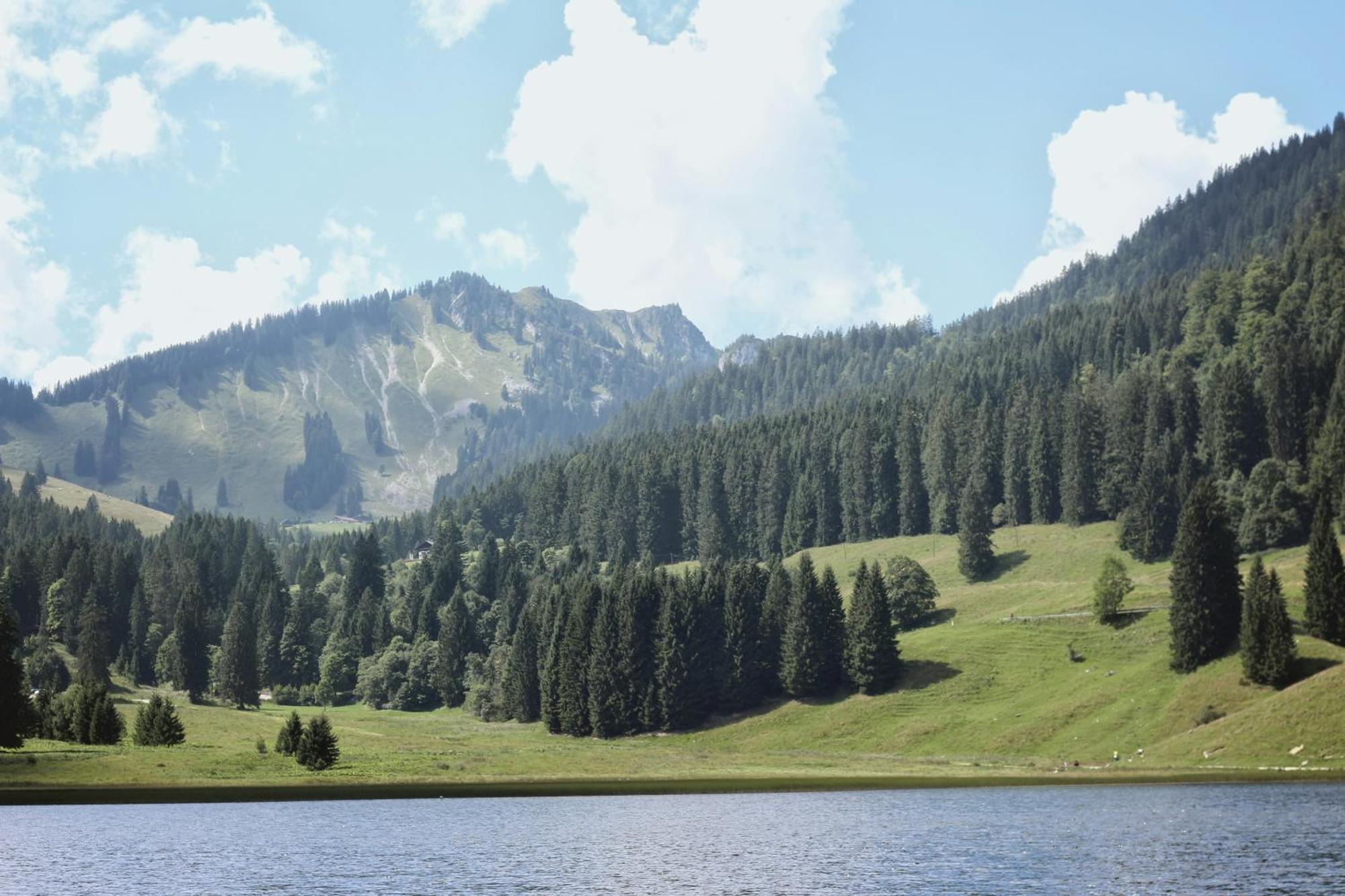 Ferienwohnung "Seeruhe" - Berge, See Und Natur Am Spitzingsee Schliersee Extérieur photo